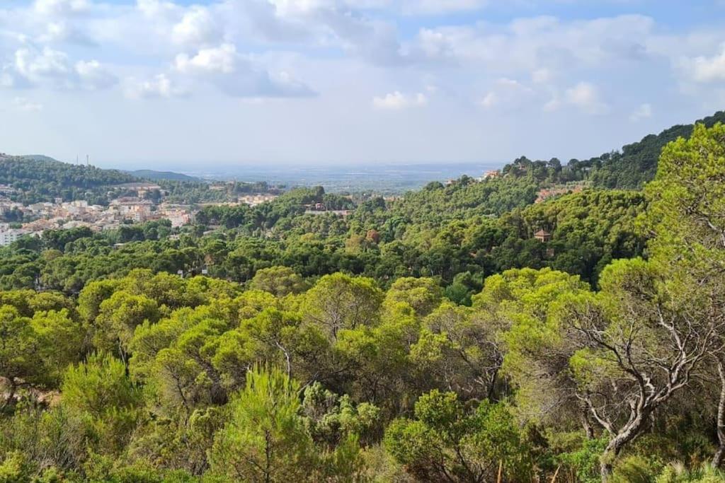 Acogedor Chalet Familiar En La Sierra Calderona Náquera 外观 照片